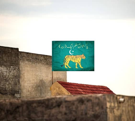 PP P Flag , PMLN Muffler PMLN Flag , Pakistan People Party Flag 0