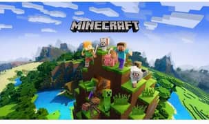 Minecraft working game setup(contact me on 03140171811)