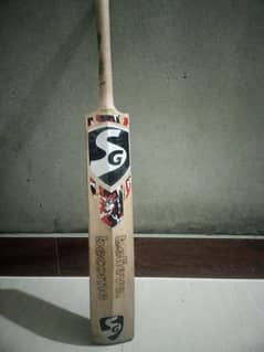 cricket SG bat