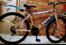 bicycle for sale ful size 26 inch brand new zero meter not used