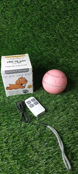 pets fountain and accessories