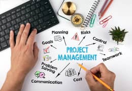 Consultant Project Management