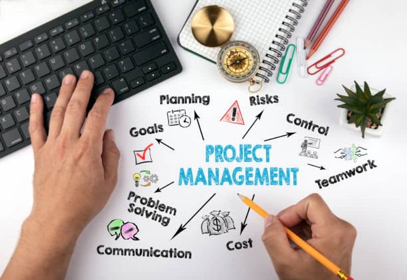 Consultant Project Management 0