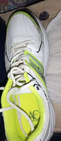Ac Cricket Gripper Shoes Size 10 in brand new condition limited offer 2