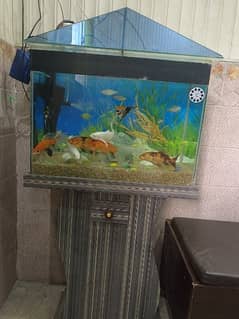 Aquarium 2 Feet Length 1.5 Feet Height with stand good condition 0