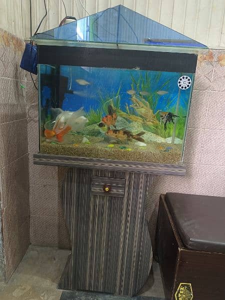 Aquarium 2 Feet Length 1.5 Feet Height with stand good condition 4
