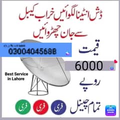 Dish antenna PE 300 tv channels live free forever