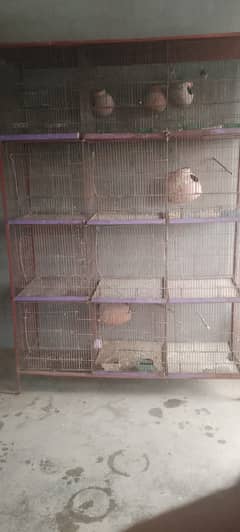Cage 12 Portion for lovebird