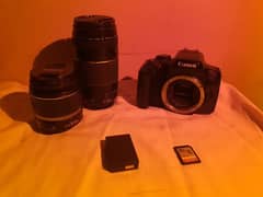 Canon DSLR Camera - 750D - 2 Lenses - Camera Bag - 64 GB SD Card 0