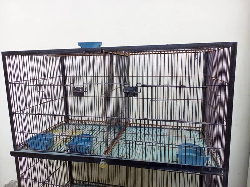 Cage for birds 3
