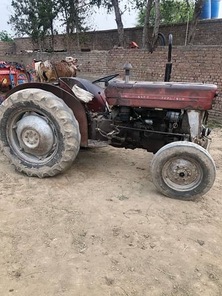 Massey Ferguson 135 1976 with jack trolley for sale 0