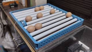 Egg rolling tray for automatic Incubator 0