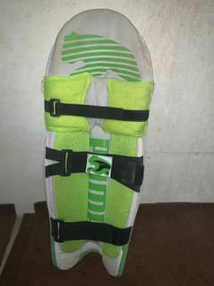 Cricket pads and thai pads