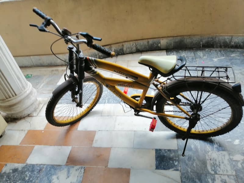 Morgan Bicycle 1