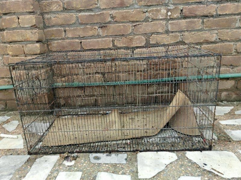 cage for sale 4