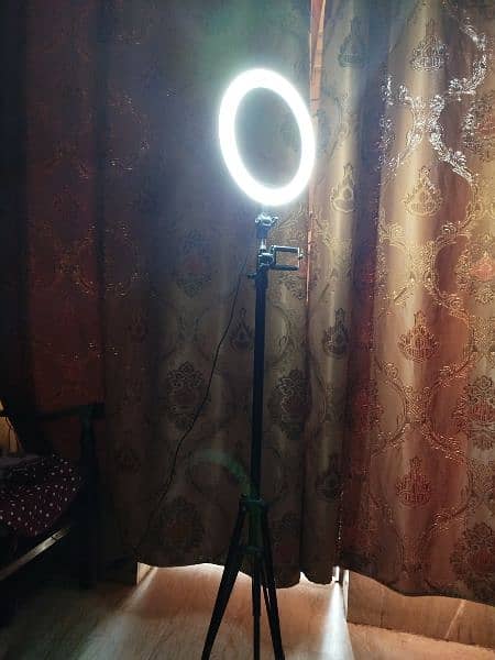 "Ring Light and Stand for Sale on OLX" 1