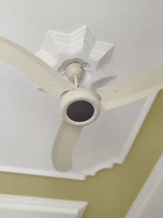 PAK FAN fancy ceiling fan .