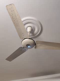 PAK FAN ceiling fan