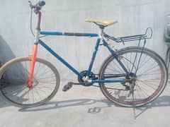 phoenix bicycle 0