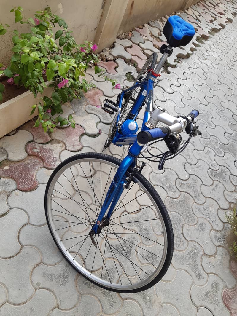 Japanese Precision Hybrid Bicycle For Sale 4