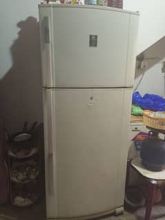 DAWLANCE  XL fridge  genuine conditiom 9/10