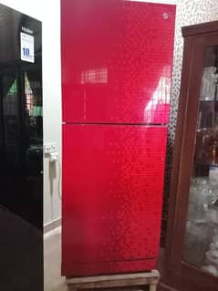 Pel Glass Door full size Refrigerator