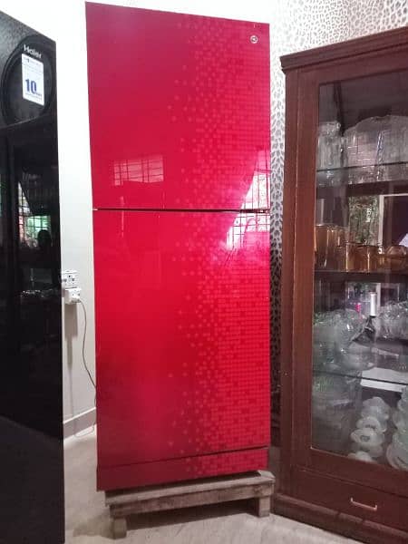 Pel Glass Door full size Refrigerator 1