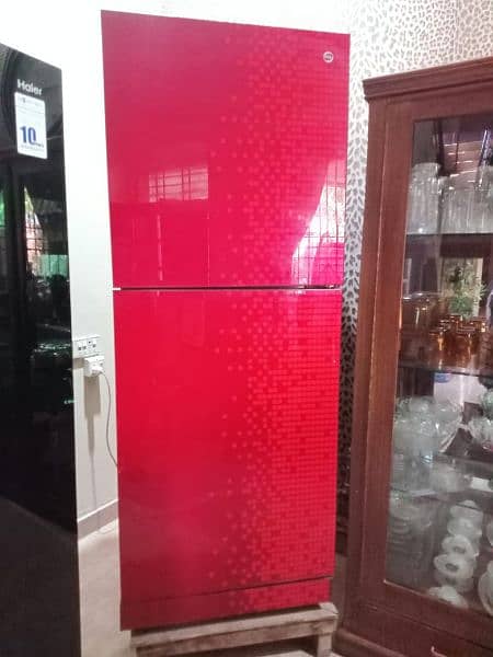 Pel Glass Door full size Refrigerator 2