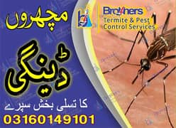 Pest control Services & Termite Treatment in Lahore