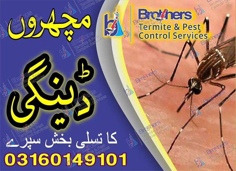 Pest control Services & Termite Treatment in Lahore 0
