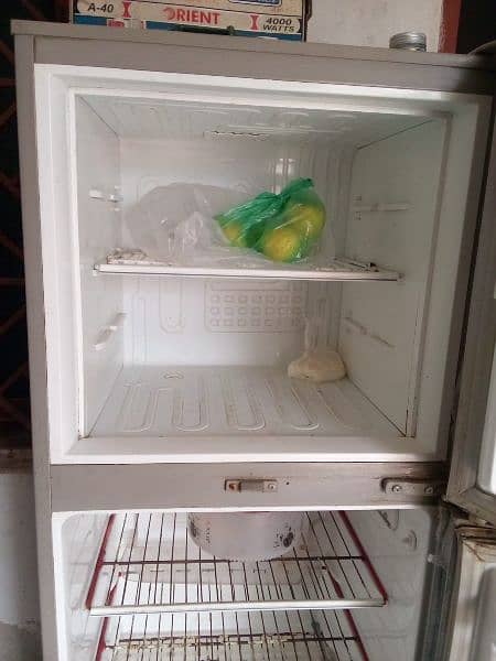 Pel refrigerator in  good condition with 2 doors 1