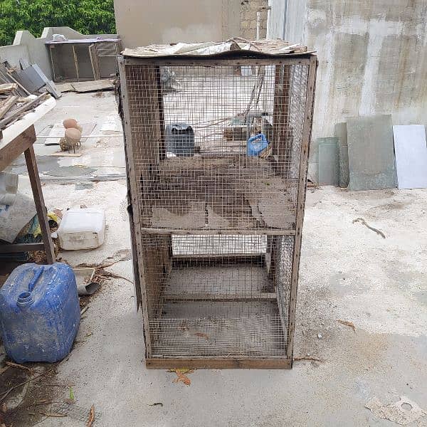 1 cage , 1 bird box available for sale 1