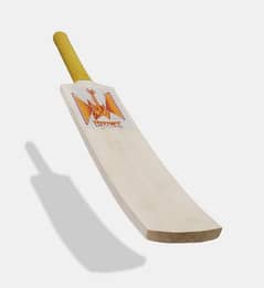 Kashmir Willow Bat | Free Delivery Available