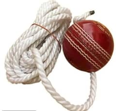 Hanging Hard Ball for Practice | Free Delivery Available 0