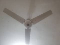 4 fan in gud running condition.  1 fan price 4000