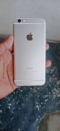 Iphone 6  64 GB Pta Approved Cash On Delivery Available