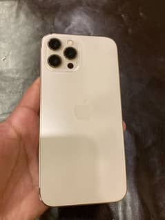 iPhone 12 Pro Max 256gb golden  colour pta approved