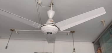 Super Asia Ceiling Fan In Brand New Condition
