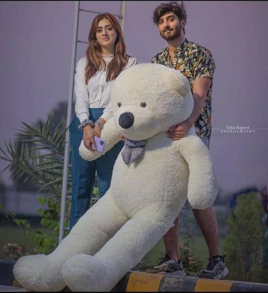 Teddy Bears / Giant size Teddy/ Giant /Big Teddy/PH#03274983810 4