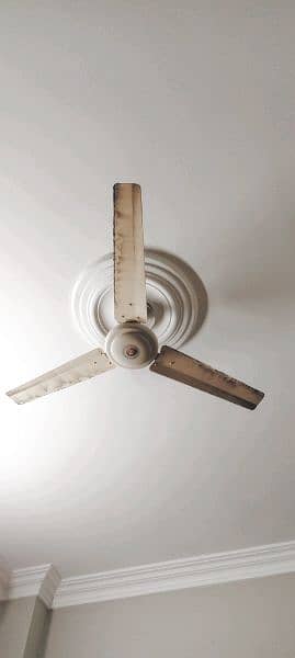 3 fans up for sale 2