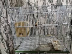 love bird cage