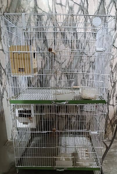 love bird cage 1