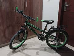 20 Size bicycle with Back Carrier.