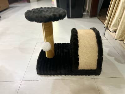 Cat stretcher and seat