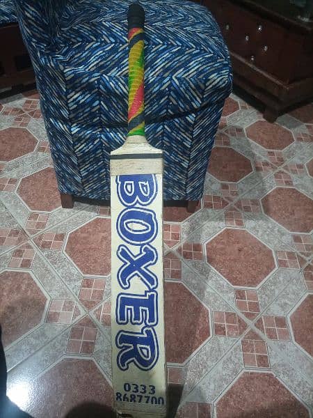 cricket bat 1