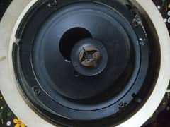 8 inch woofer with Ab amplifier (0318-170-6619)