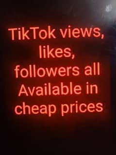 TikTok Service 0