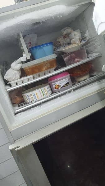dawalance full size fridge 4