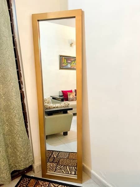 Full size Selfie/ Hallway Elegant Mirror 0