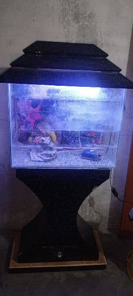 fish aquarium 1